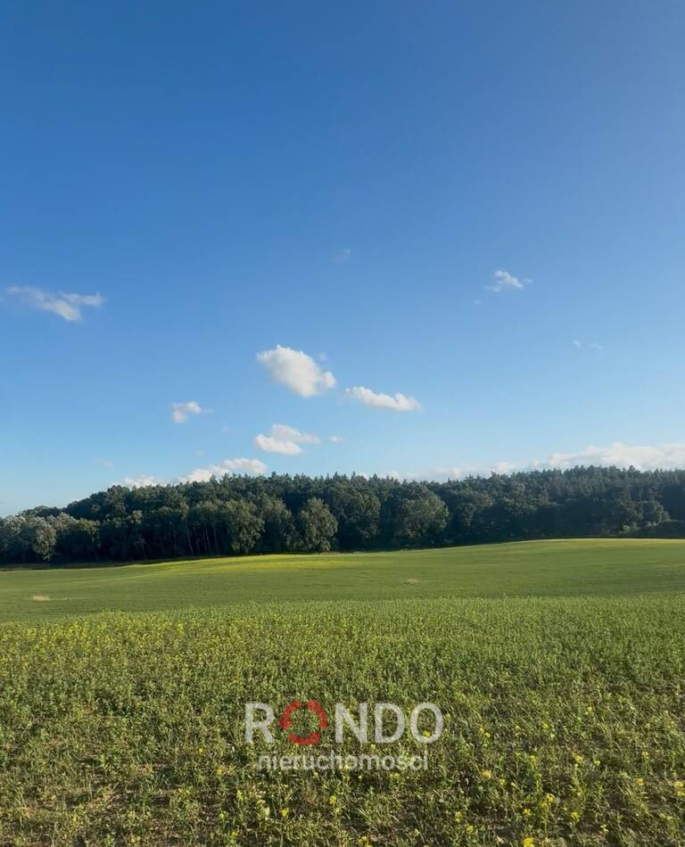 Działka Sprzedaż Buk