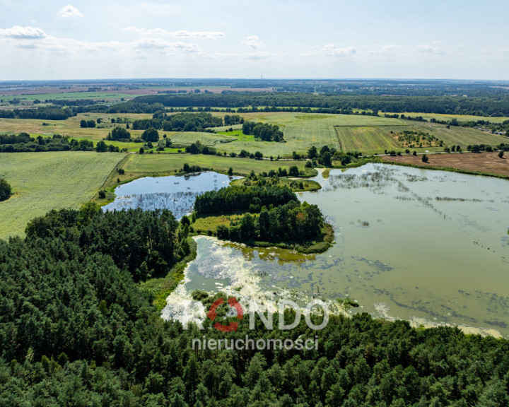 Działka Sprzedaż Binowo