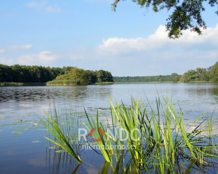 Działka Sprzedaż Warnice