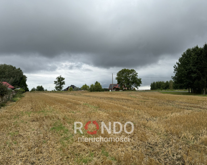 Działka Sprzedaż Kolonia Maszewo