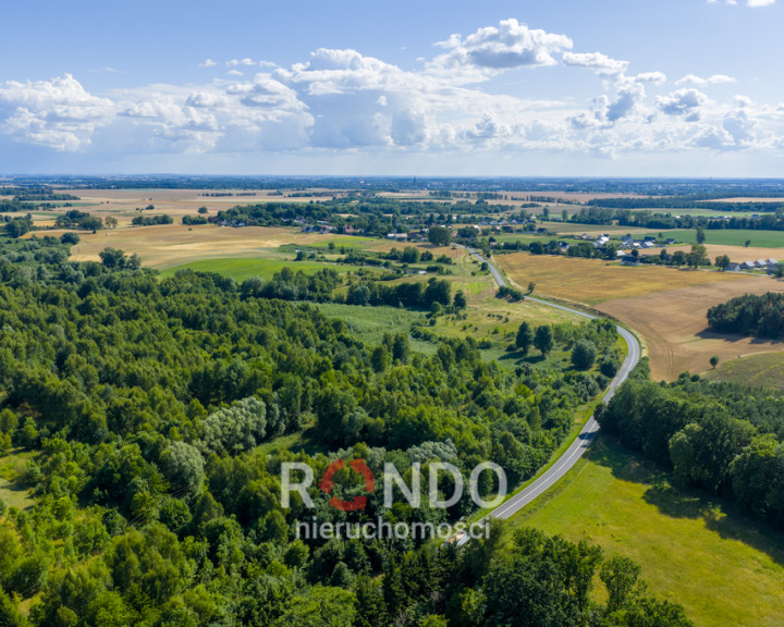 Działka Sprzedaż Grabowo