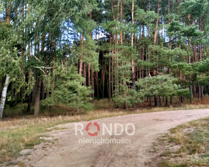 Działka Sprzedaż Tanowo Szczecińska