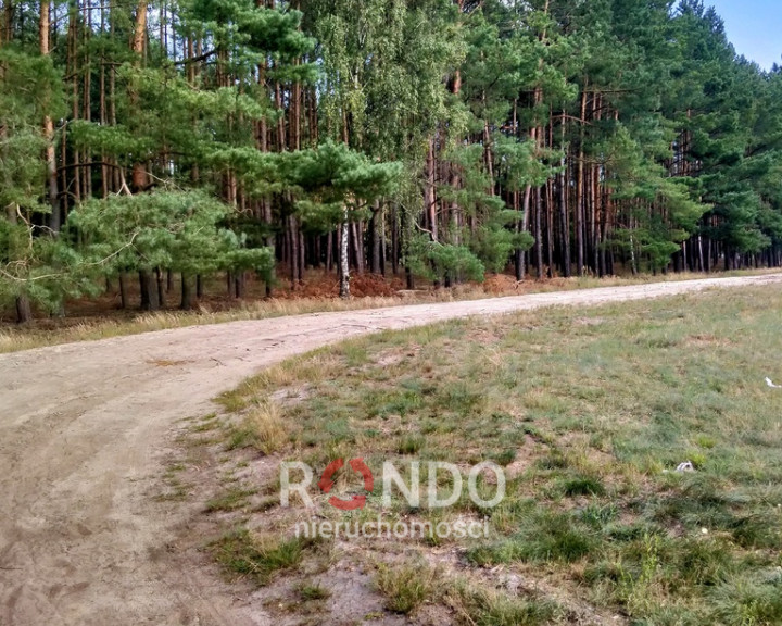 Działka Sprzedaż Tanowo Szczecińska