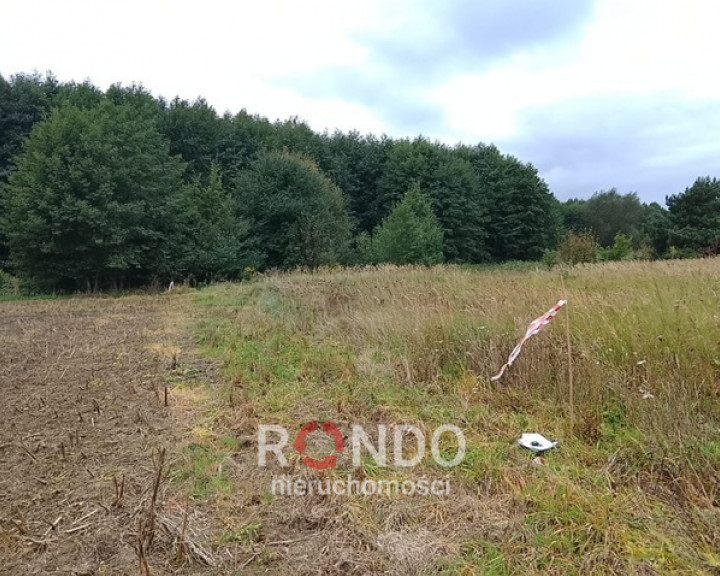 Działka Sprzedaż Stara Dąbrowa