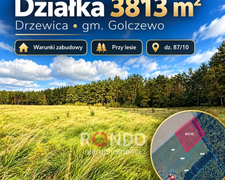 Działka Sprzedaż Drzewica