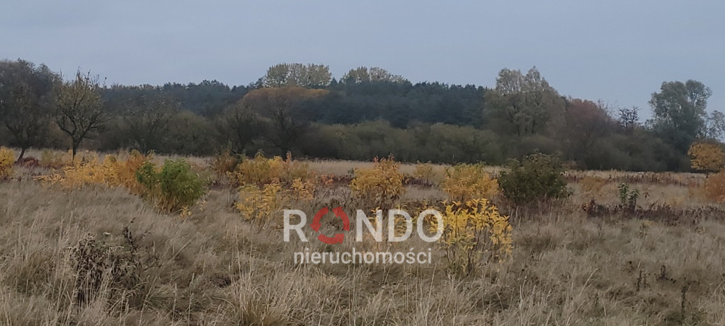 Działka Sprzedaż Żelewo