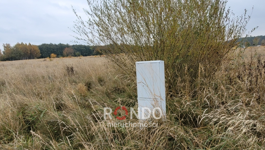 Działka Sprzedaż Żelewo