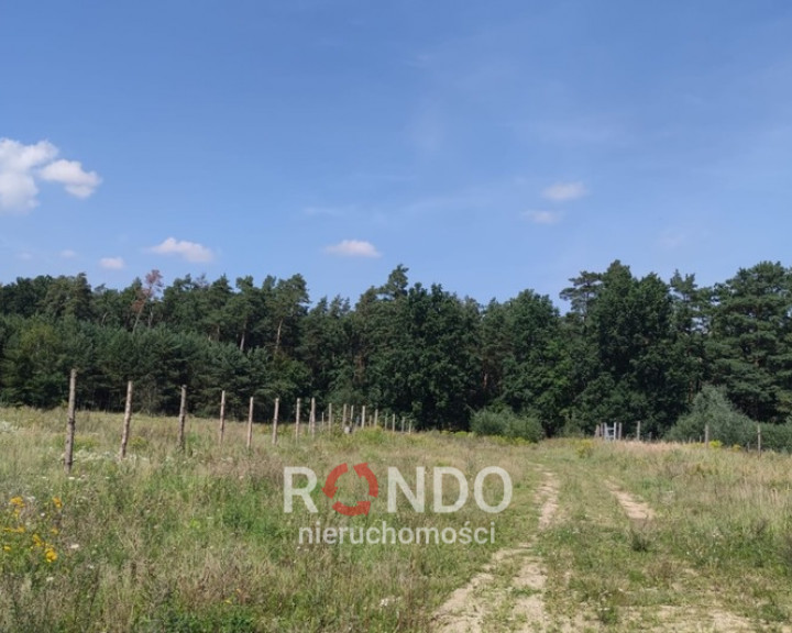 Działka Sprzedaż Kościno