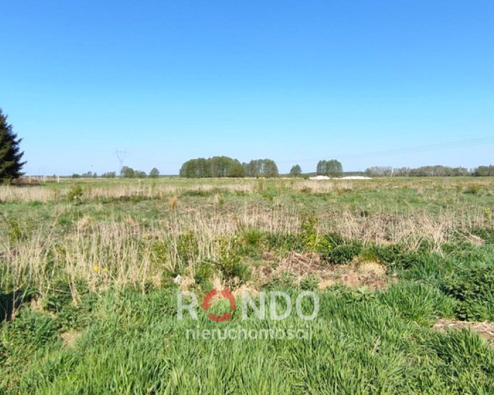Działka Sprzedaż Modrzewie